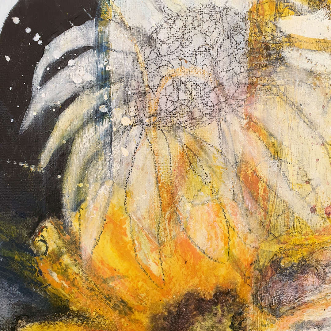 Close up of Sunflowers of Stacey showing the drawn flower in pencil above the main sunflower